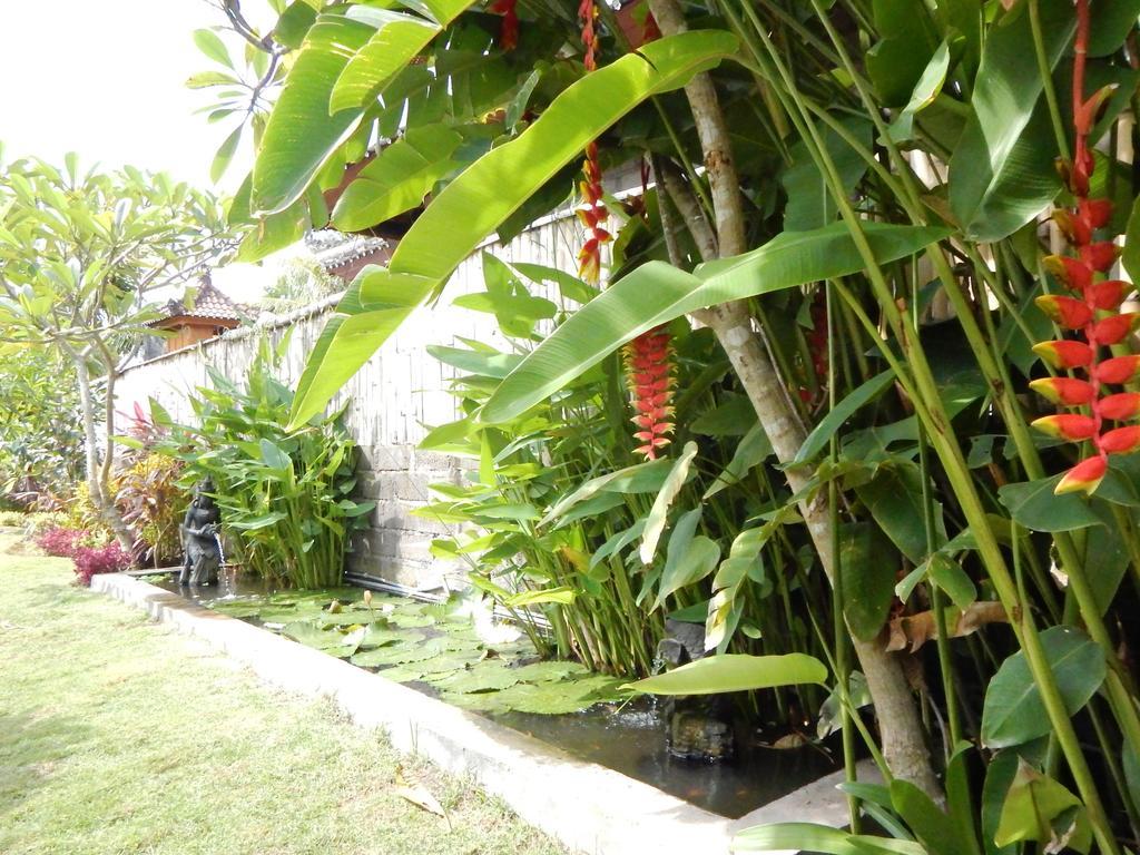 Yuda Menjangan Homestay Banyuwedang Εξωτερικό φωτογραφία